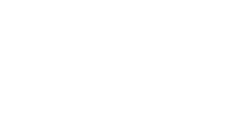 CMI Strategies White Logo